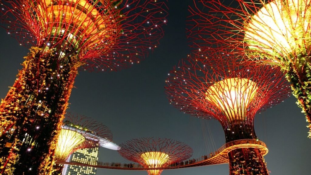 Garden by the bay in Sigapore