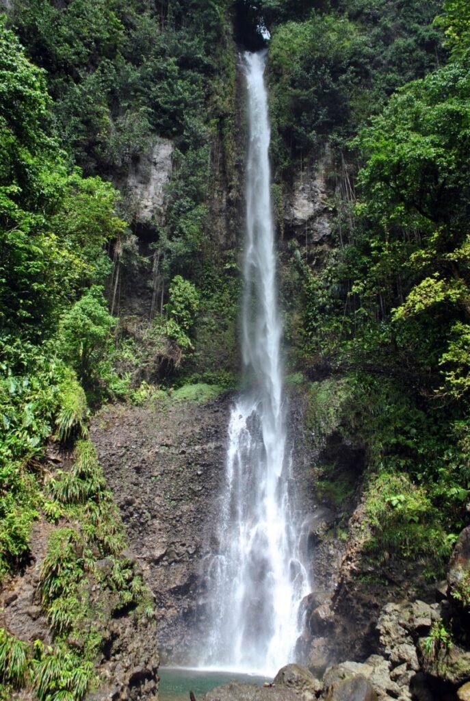 Dominica