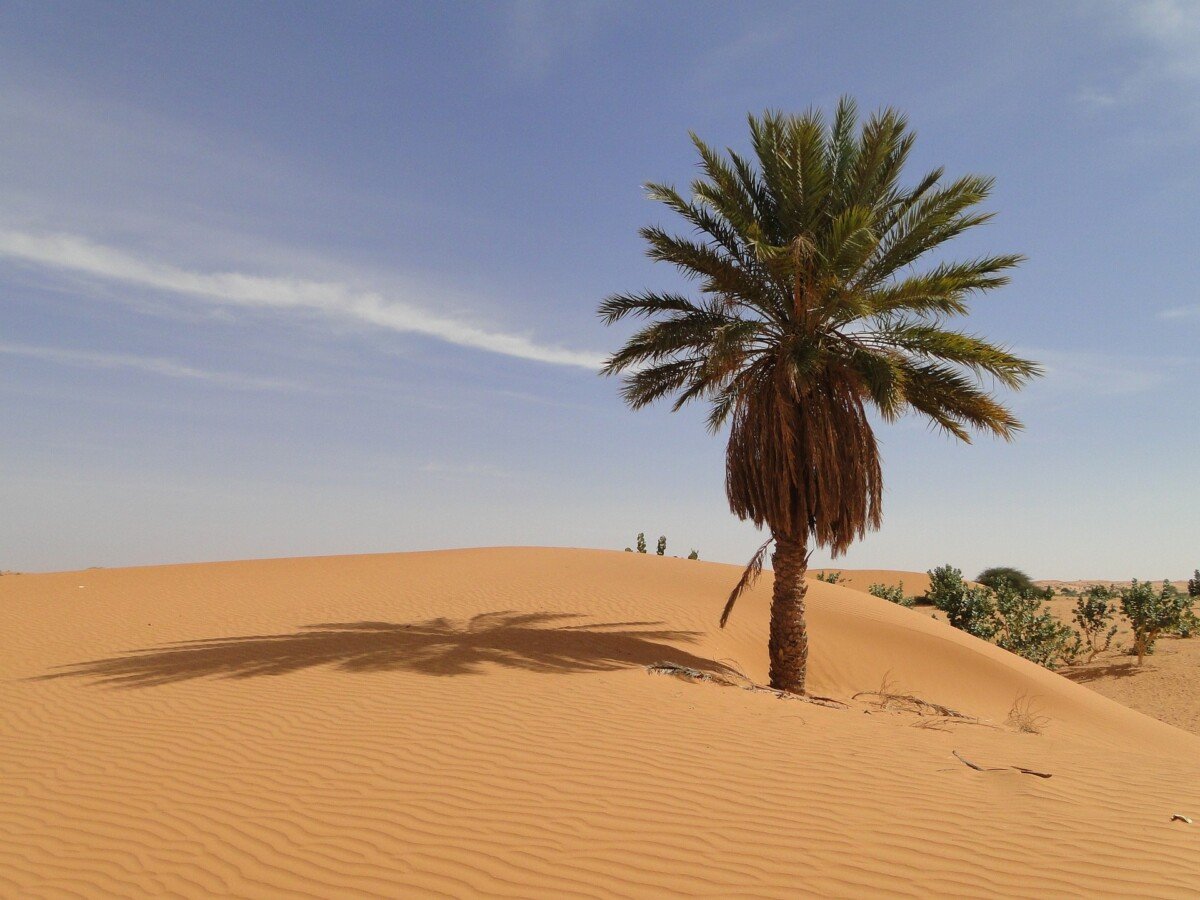 Mauritania