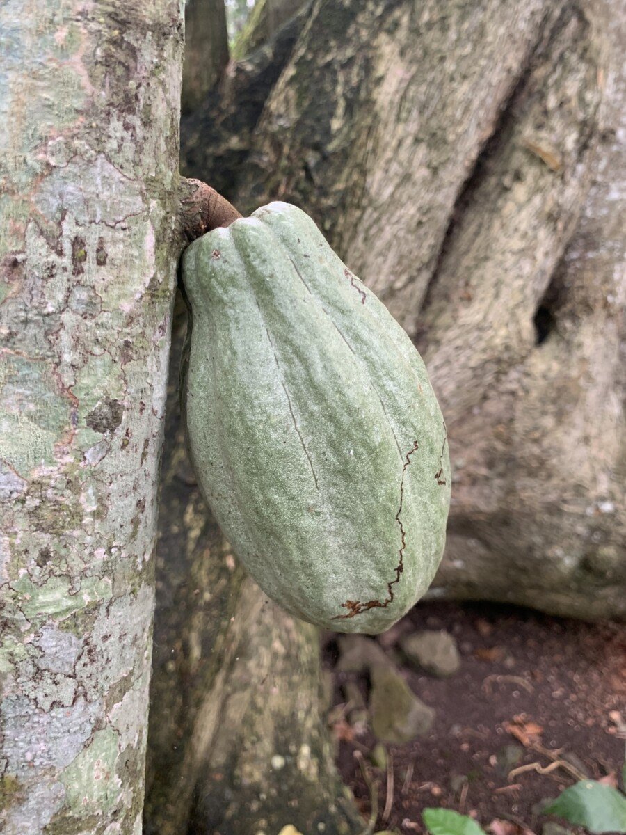 Sao Tome & Principe