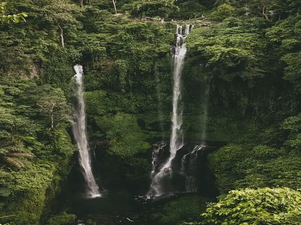 Discovering Sekumpul A Series of Falls in Bali