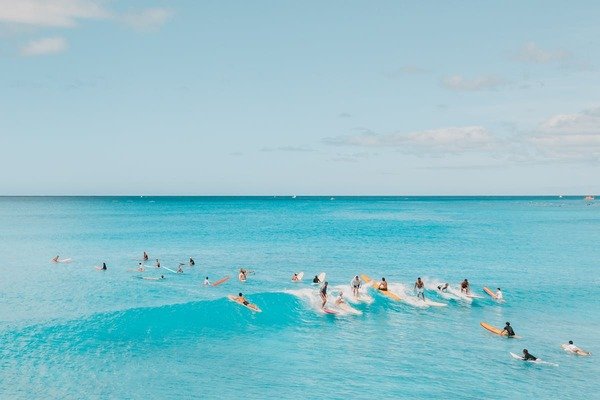 Surfers on ocean