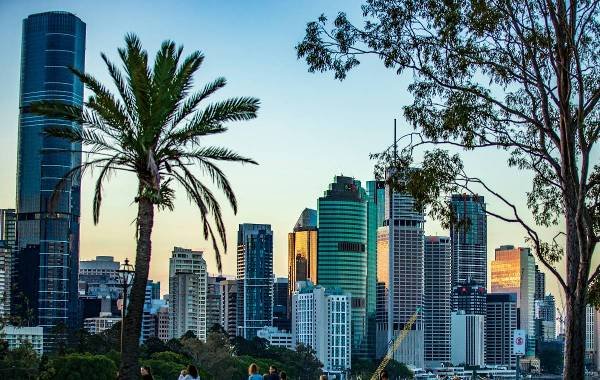 Brisbane trees