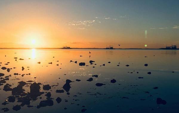 Sunset over the tranquil waters of Cebu, Philippines, with silhouettes of distant boats and rocky shoreline reflecting golden hues in the calm sea.