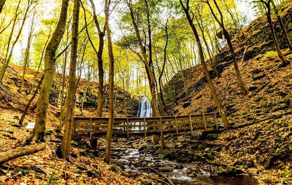 Wooden bridge over a stream with a waterfall in a forest during autumn in Hamilton, Canada