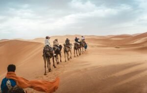 People riding camels through the desert.