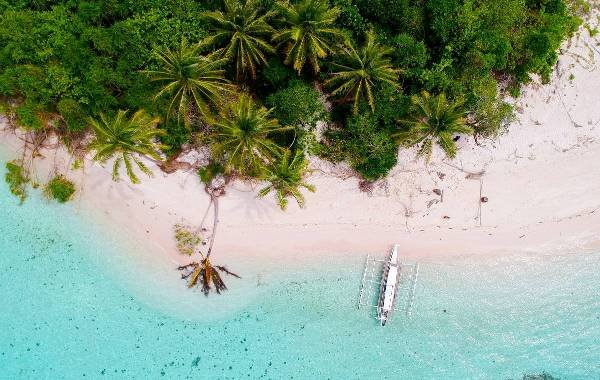 Aerial view of a tropical beach with palm trees and a boat on clear turquoise waters in Palawan, Philippines.