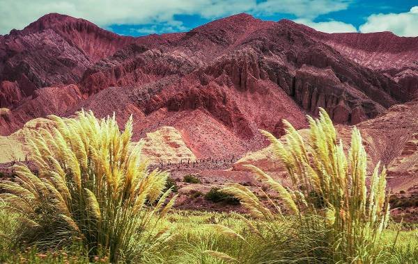 Scenic view of the colorful rock formations and lush vegetation in Salta, Argentina.
