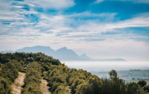 Stellenbosch