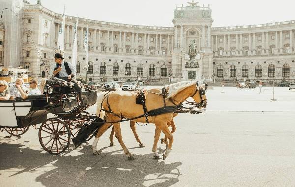 horse carriage vienna