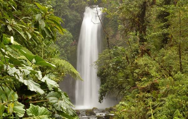 powerful waterfall in the jungles of Costa rica 