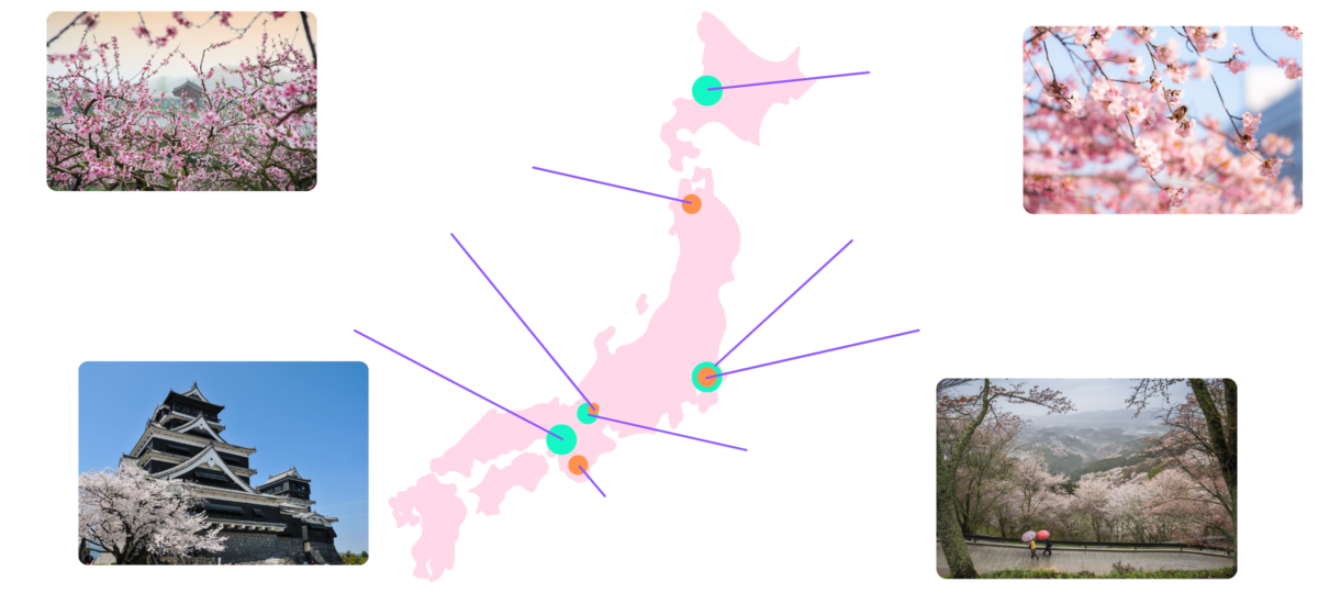 Map of cherry blossom viewing spots in Japan