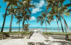 Scenic view of palm trees framing a pathway leading to a serene beach in Hawaii, showcasing vibrant blue skies and inviting ocean waters.