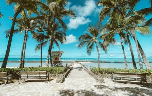Scenic view of palm trees framing a pathway leading to a serene beach in Hawaii, showcasing vibrant blue skies and inviting ocean waters.