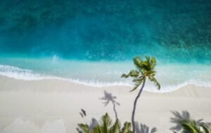 Aerial view of a serene beach with crystal-clear turquoise water, gentle waves lapping at a pristine white sand shore, and a tall palm tree casting a shadow, embodying the essence of summer relaxation