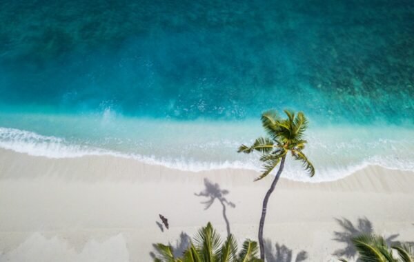 Aerial view of a serene beach with crystal-clear turquoise water, gentle waves lapping at a pristine white sand shore, and a tall palm tree casting a shadow, embodying the essence of summer relaxation