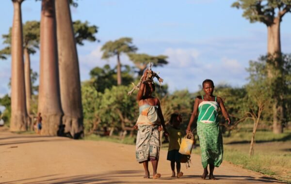 Two women and a child walk along a dirt road lined with iconic baobab trees in Madagascar, carrying items and enjoying the vibrant landscape
