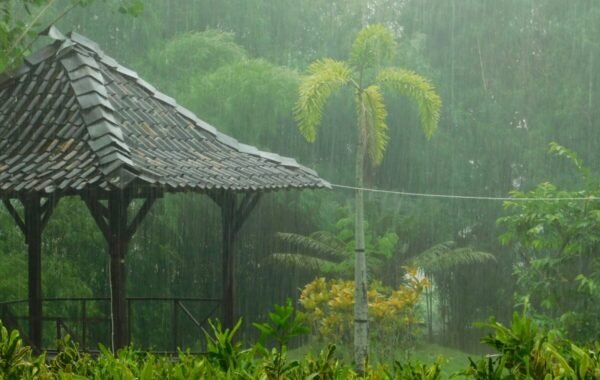Rain pours heavily over a thatched gazebo surrounded by lush greenery in Vietnam, highlighting the tropical climate and serene atmosphere