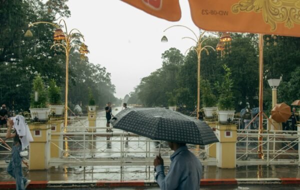 A person holding a black umbrella walks through a rain-soaked park in Vietnam, surrounded by lush greenery and illuminated lanterns