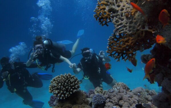 Group of divers exploring a vibrant coral reef, surrounded by colorful fish and marine life, with bubbles rising in the clear blue water
