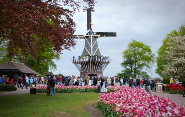 Vibrant tulip blooms in various colors surround a bustling crowd at Keukenhof Gardens in the Netherlands, featuring a traditional windmill structure amidst lush greenery and blossoming trees