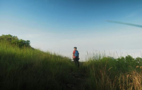 Hiker exploring a lush, green trail surrounded by tall grass under a clear blue sky, showcasing the beauty of nature and outdoor travel adventures